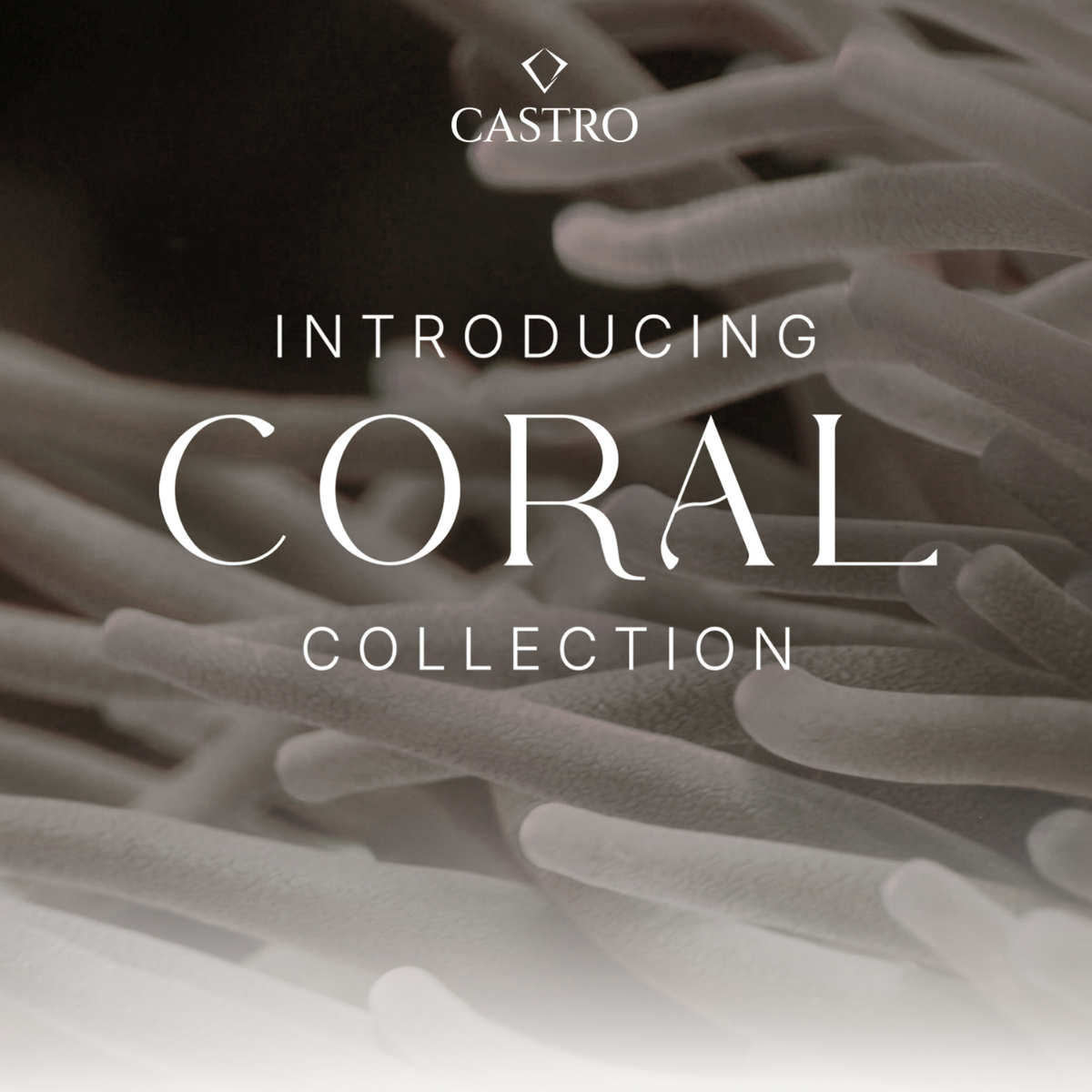 Coral Collection Inspiration 