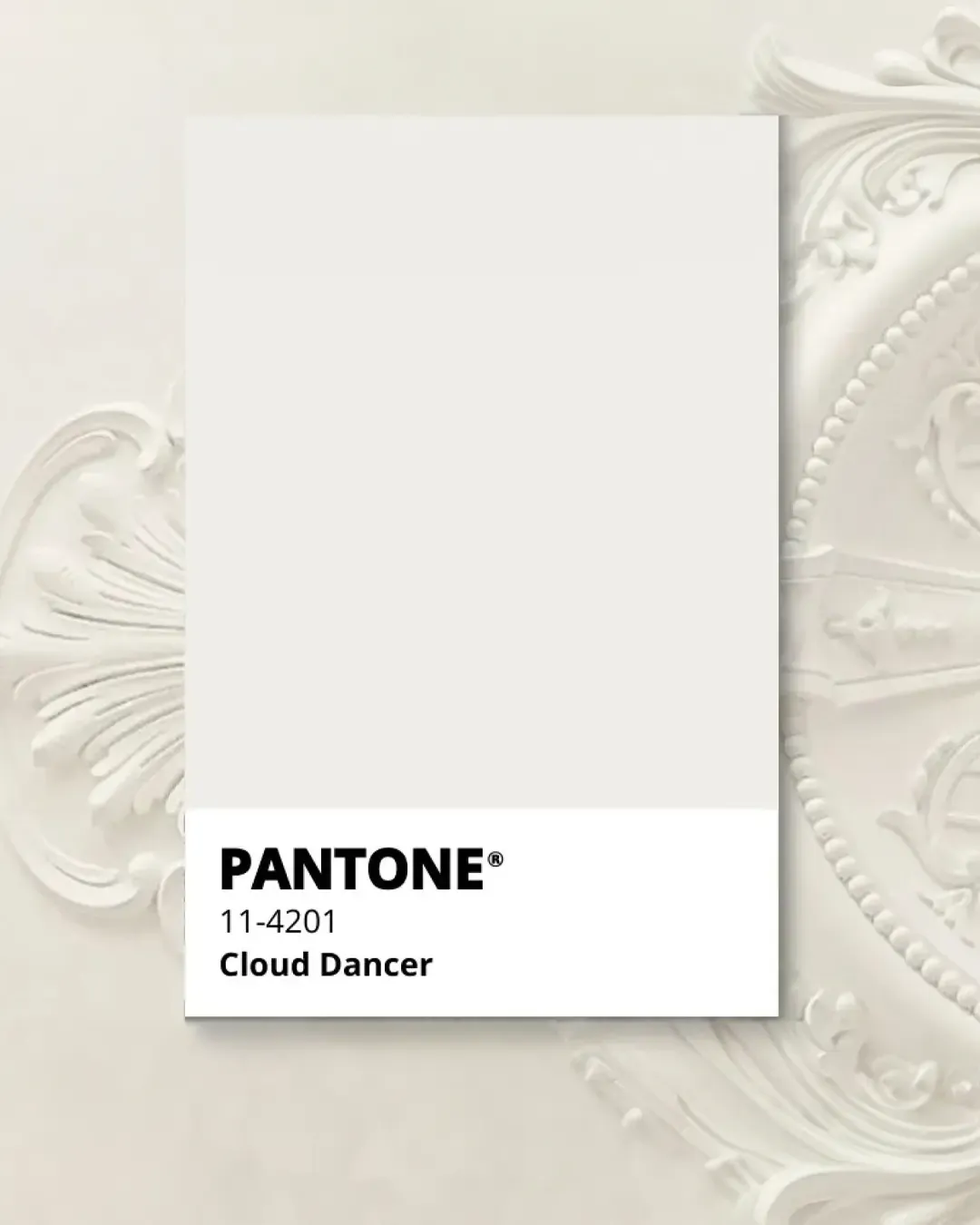 /storage/discover-cloud-dancer-pantone-color-of-the-year-2026